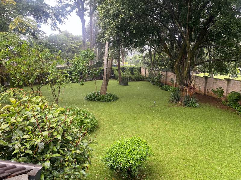 Naivasha Park - Gallery 22